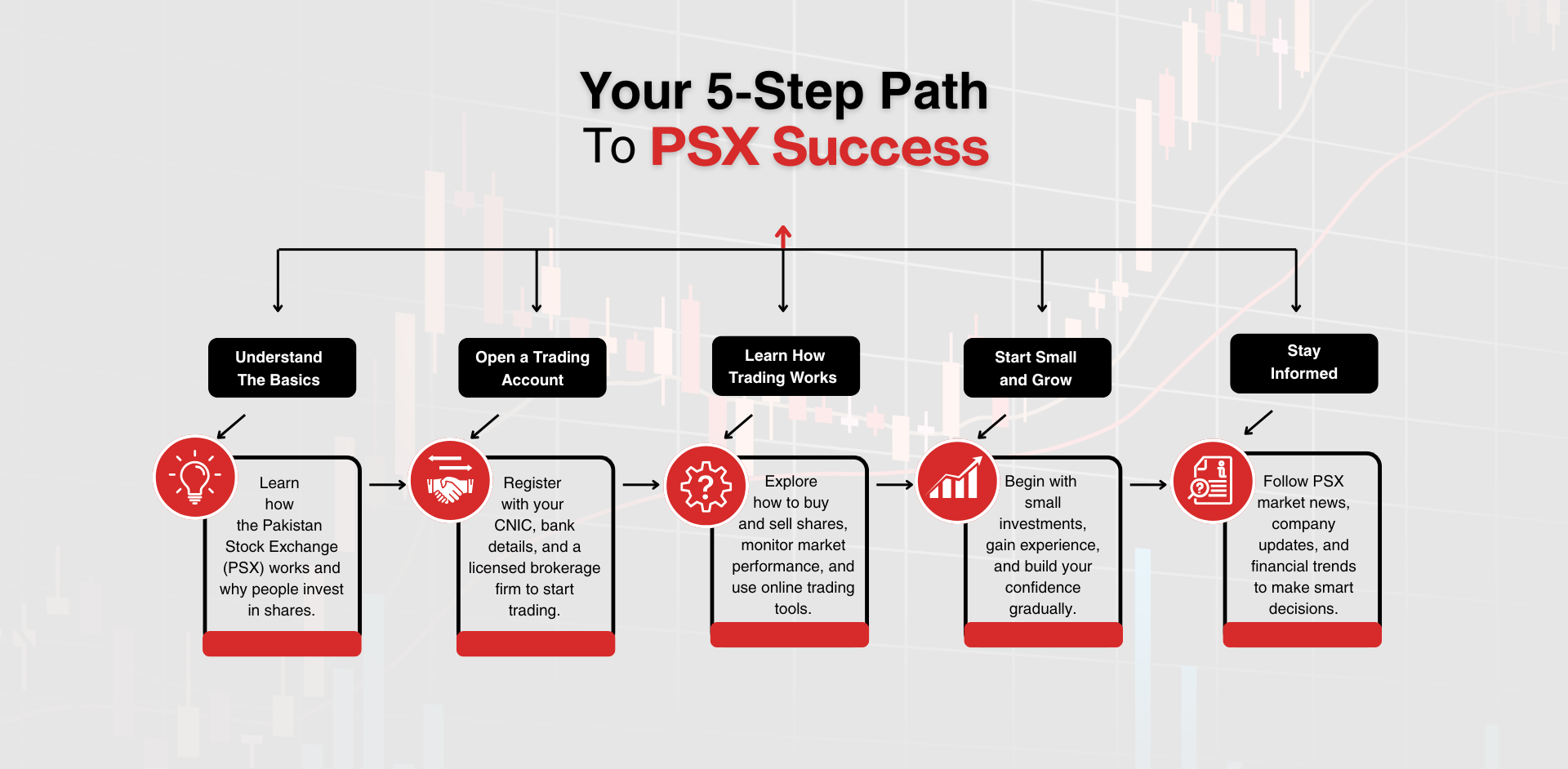 Your 5-Step Path to PSX Success infographic