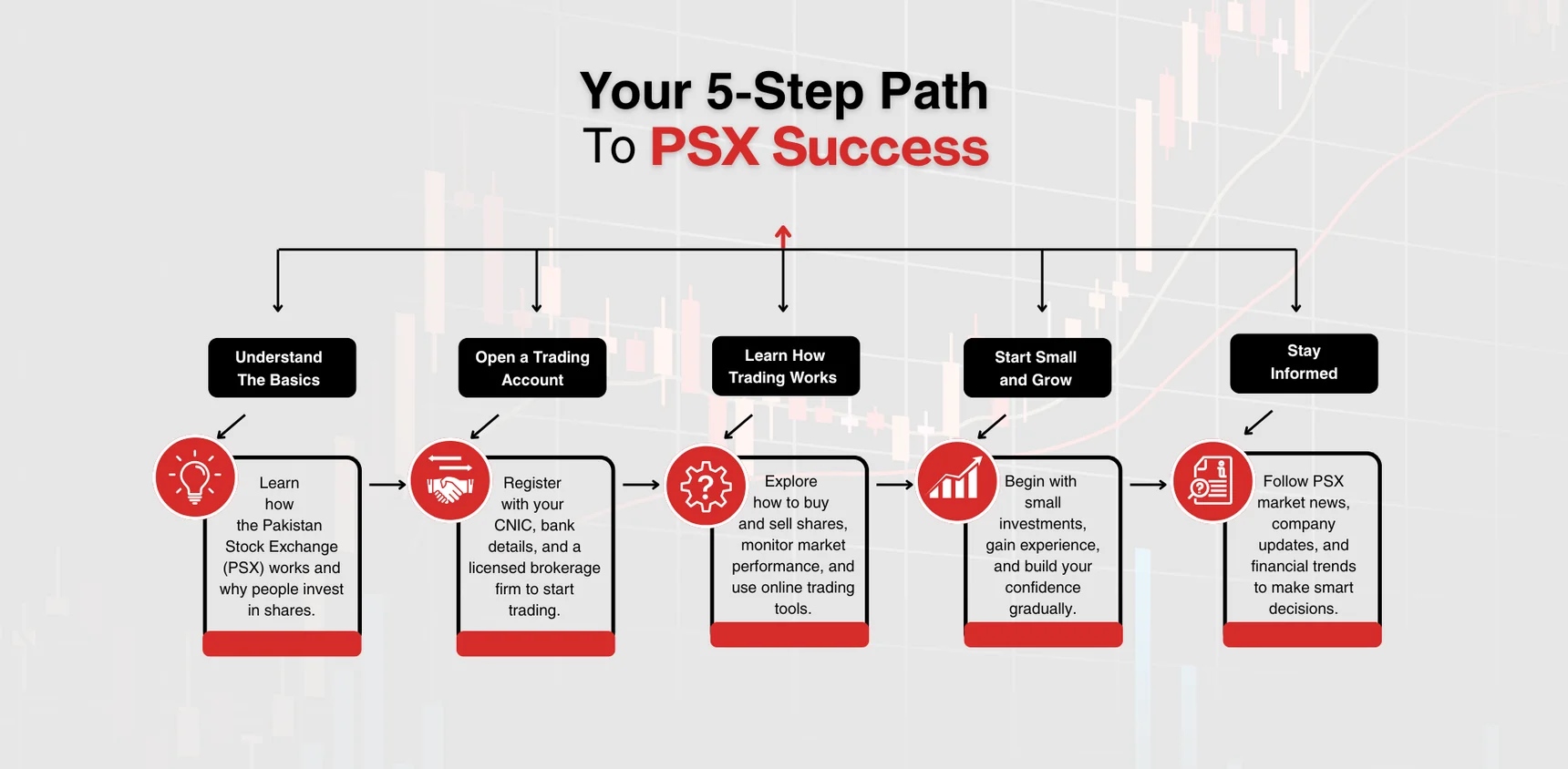 Your 5-Step Path to PSX Success infographic